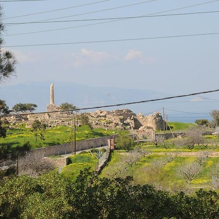 Kalokenti Studios Aegina Ruang foto